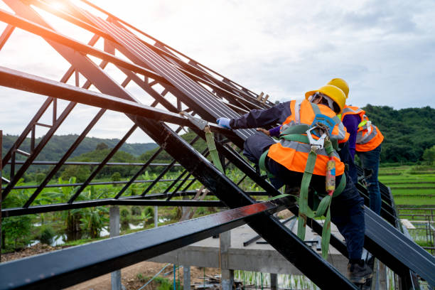 Best Roof Gutter Cleaning  in Medpolis, IA