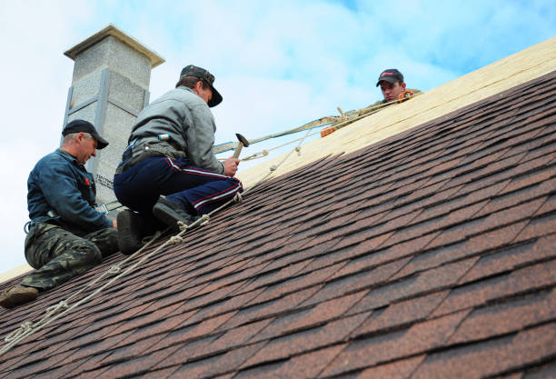 Best Storm Damage Roof Repair  in Medpolis, IA